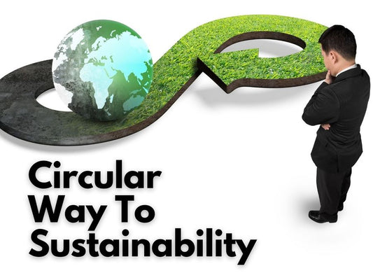 Sustainable Consumerism: The Rise of Circular Economy Startups