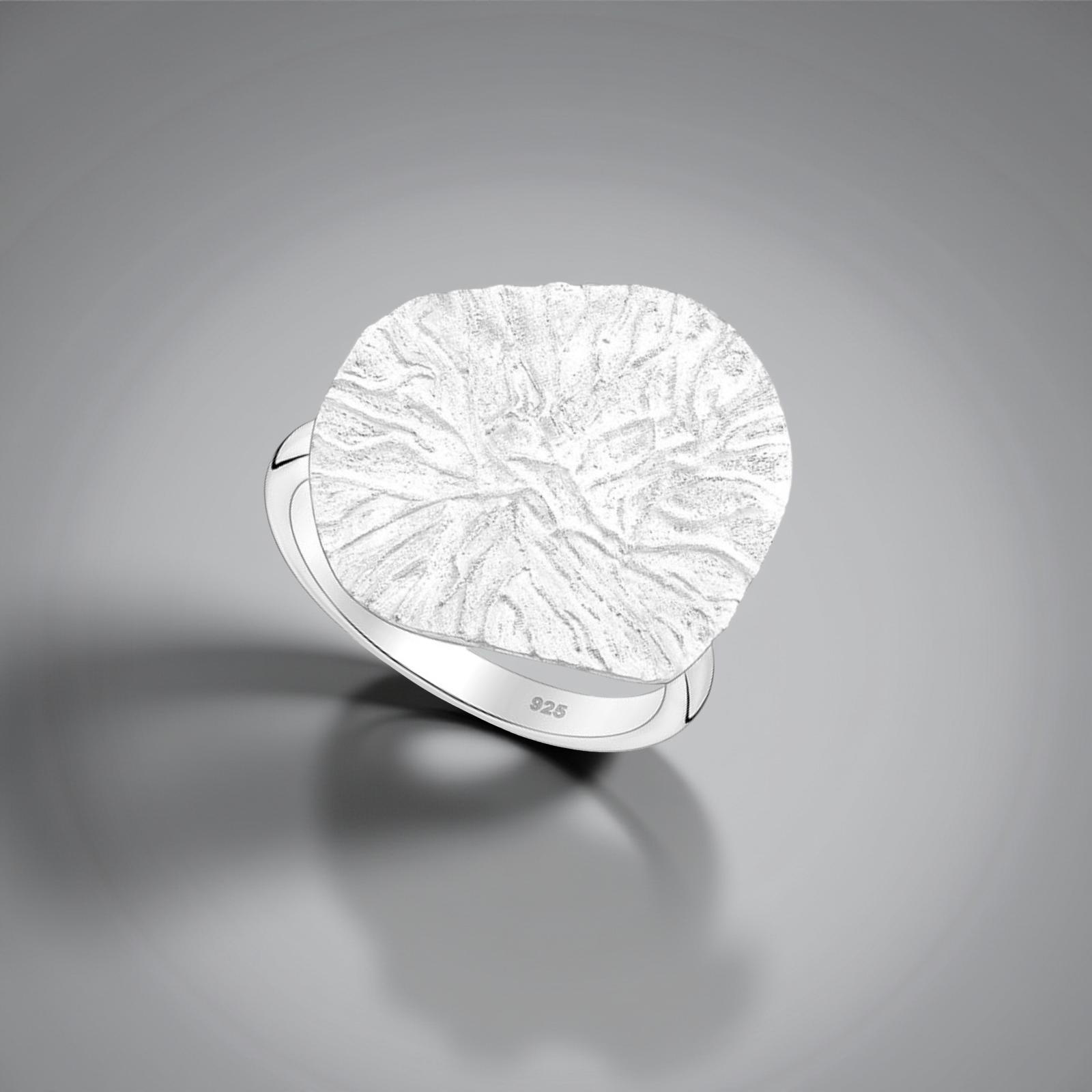 Silver ring, luxury, old money 